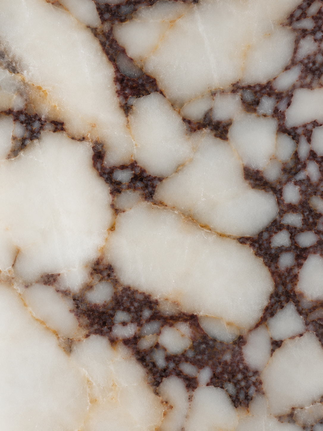 A close-up of polished stone or marble with irregular off-white to cream areas separated by dark brown to charcoal veining, with subtle warm tan lines in some sections.